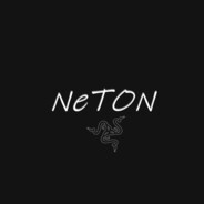 NeTON