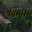 Aguila