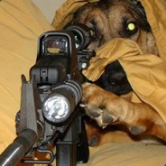 Marmaj71