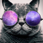 Kот на аве вопроcы?