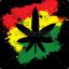 TY.WeeD