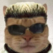 albert whiskers