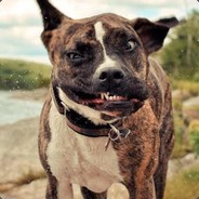 我抢起头来不要命