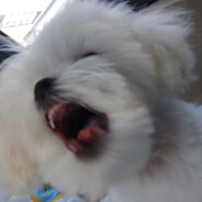 有耳朵的哆啦a梦