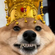 Wwwumei