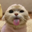 Nicake