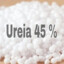 UREIA