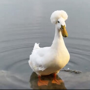 莫待无花空折枝