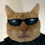 Dimp