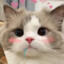 ManekiNeKo