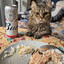 meow