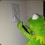 KERMIT SUICIDE