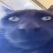 poonnawit247