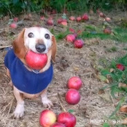 мухтар дружелюбн