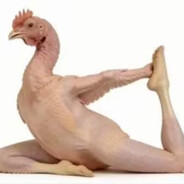 Chicken Yoga
