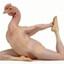 Chicken Yoga