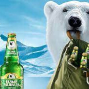 Белый медведь