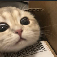 tajikAiM_4yTb.npu.6JlaTe[casio]