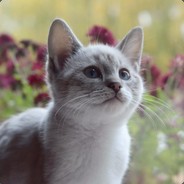 你走开，我要看老师。