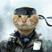 西部菱斑响尾蛇