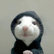 susu avatar
