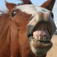 МАРТЫНОВ ДИМА