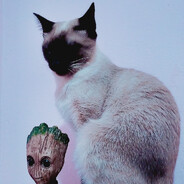 Avatar snapshot