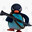 NOOT NOOT