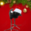 festively jolly-pilled pukeko