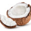 cocosik