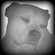 Terre's avatar