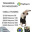 Tamandua do pix