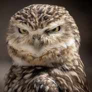 >ChEm!eKu$< avatar