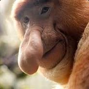 The Monkey