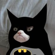 Mega Hurtz - steam id 76561197970980017