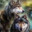 wolflover567