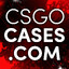 CS2-CASES.COM