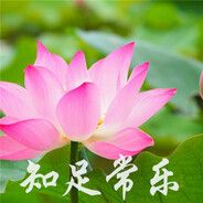 七星娱乐公司-老孩