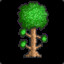 Treebug842