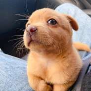 генерал лоутаба - steam id 76561199085839048