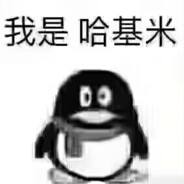 我是哈基米