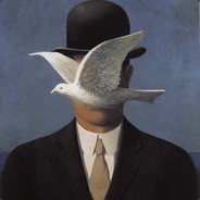 pigeon avatar