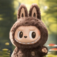 -----下等马分界线-----