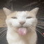 Neut