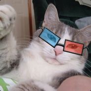 rEkON` - steam id 76561197960694425