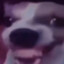XUER