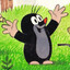 sanice