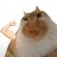 222909622's avatar