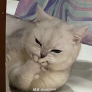 13岁   热爱冒险