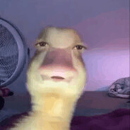 goinbannanas3